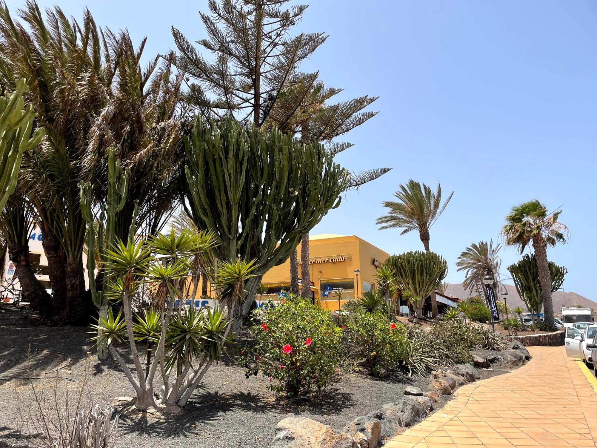 Casa Relax Papagayo Corralejo Irent Fuerteventura公寓 外观 照片